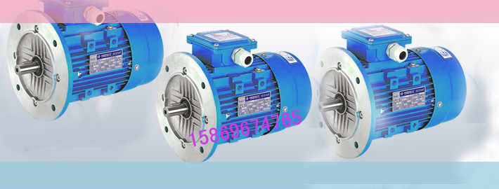 天津鋁殼三相異步電動(dòng)機(jī)Y2-132M-2-9KW